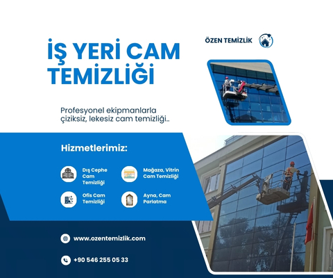 Ev Temizliği Çalışması